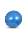 Body Solid  Aerobic Exercise Ball