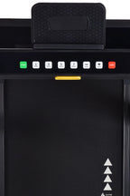 Katie Austin Treadmill